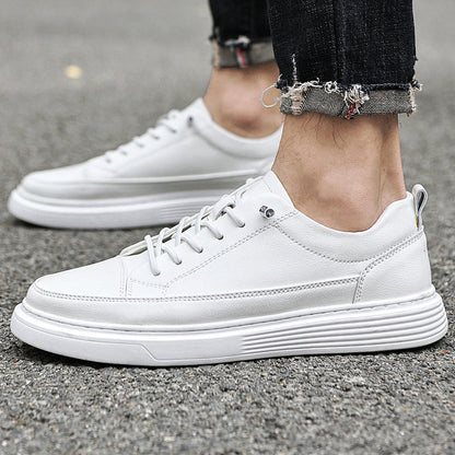 Belmont Sneaker aus echtem Leder