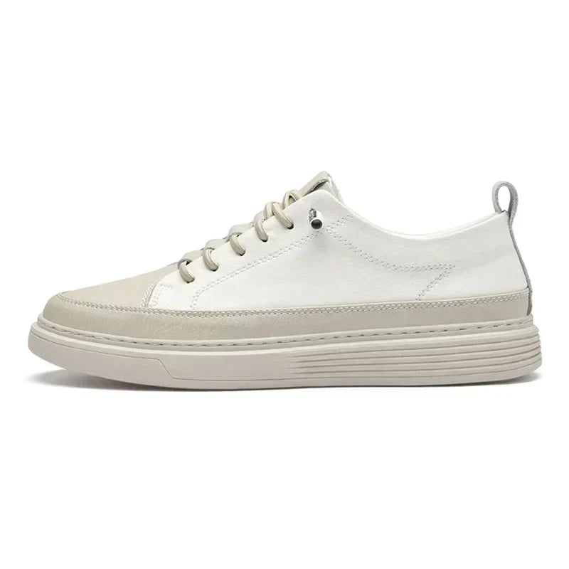 Giovanni Sneaker aus italienischem Leder
